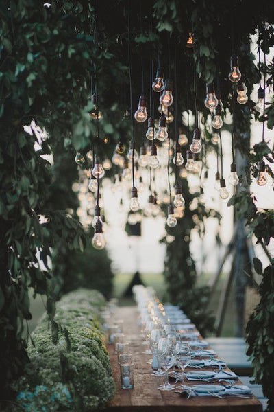 Festoon Bulb Dropper
