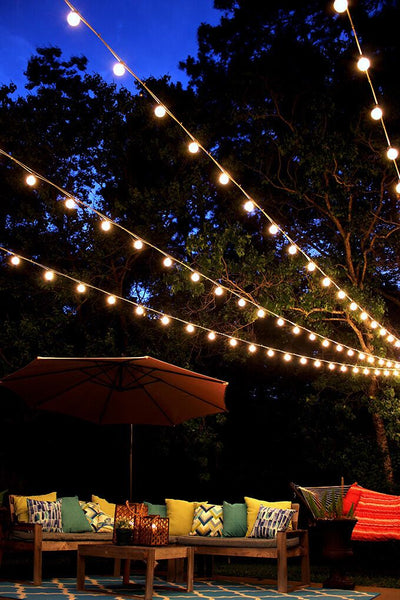 Festoon Starter Pack (low voltage)