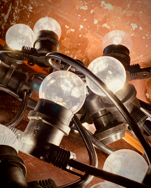 Low Voltage 24volt Festoon