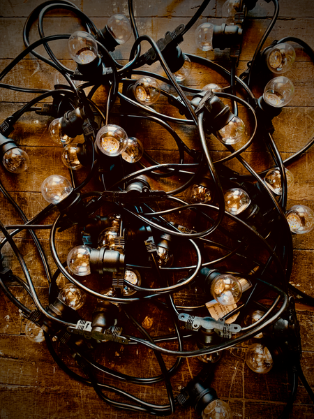 Low Voltage 24volt Festoon
