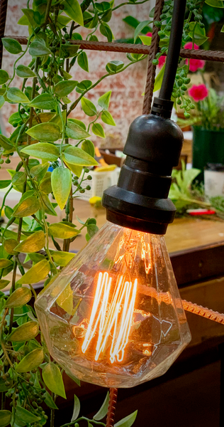 G95 Diamond  Squirrel Cage Filament