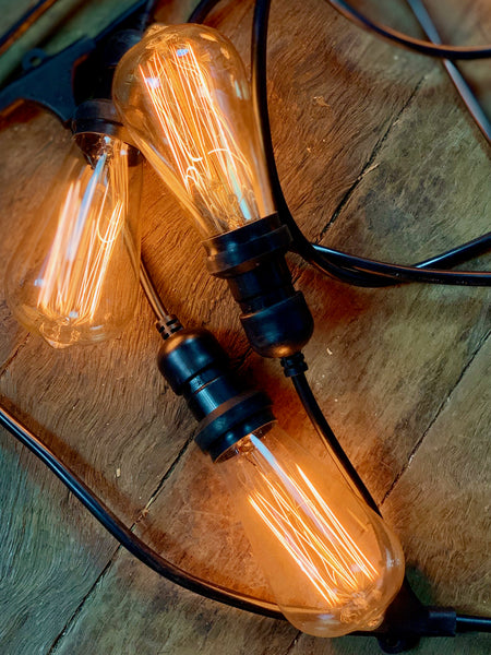 Festoon Guys Set with Edison ST64 & G80 Bulbs