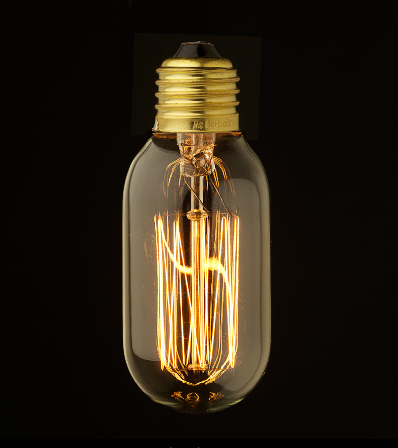 T45 Squirrel Cage 40watt Filament E27