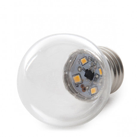 24V G45 Warm White 1watt SMD LED Polycarbonate bulb